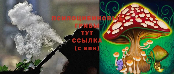 дурь Белокуриха