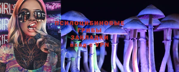 дурь Белокуриха