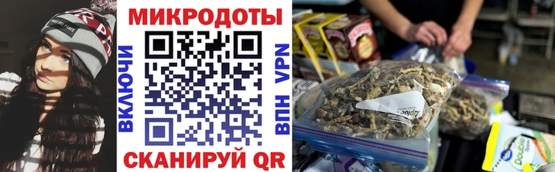 Псилоцибиновые грибы мицелий  Новочеркасск 